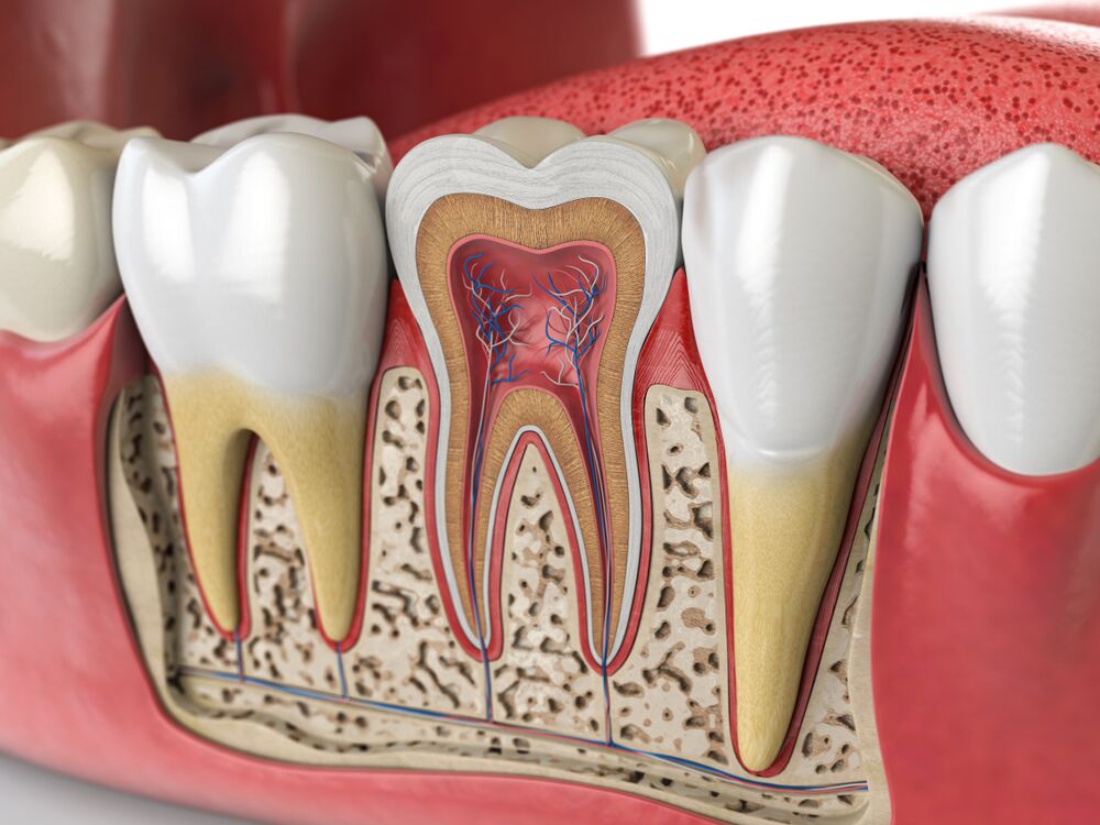 Root canal treatment Glenmore Park